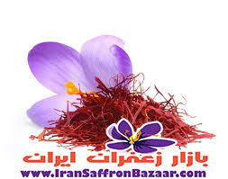 فروش کلی زعفران مشهد برای صادرات
