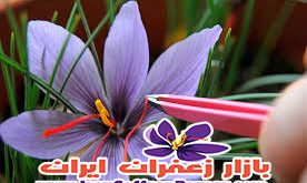 خرید زعفران صادارتی مشهد