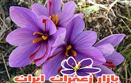 خرید زعفران در اتریش