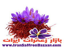 خرید کلی زعفران قاین از کشاورز
