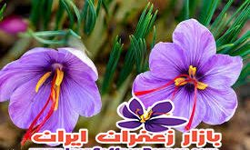 قیمت زعفران ممتاز خراسان در اصفهان