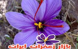 قیمت یک کیلو زعفران در خراسان جنوبی