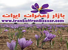 خرید زعفران ناب ایرانی از بهترین پایگاه خرید و فروش زعفران در ایران