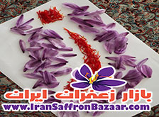 صادرات زعفران سرگل فردوس به دبی