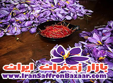 خرید کلی زعفران قائنات از مشهد