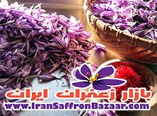 فروش مستقیم زعفران ایرانی