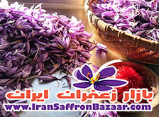 خرید بهترین زعفران فردوس از مشهد