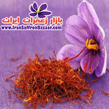 صادرات زعفران مرغوب خراسان جنوبی به فرانسه و سایر کشورهای اروپایی