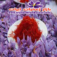 مرغوب ترین و بهترین زعفران خراسان را به صورت اینترنتی از ما خرید کنید.