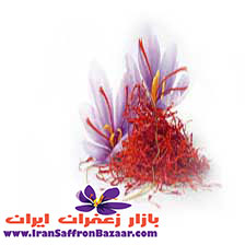 فروش و صادرات عمده زعفران برای بازارهای جهانی در سایت بازار زعفران ایران