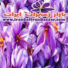 به راحتی در سایت ما خرید یک کیلو زعفران مشهد را با قیمت مناسب انجام دهید.
