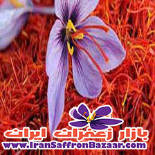 زعفران با کیفیت ایرانی را به مناسب ترین قیمت در کویت، از ما خرید کنید.