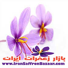 قیمت دقیق هر مثقال زعفران فردوس به عنوان بهترین زعفران صادراتی ایران